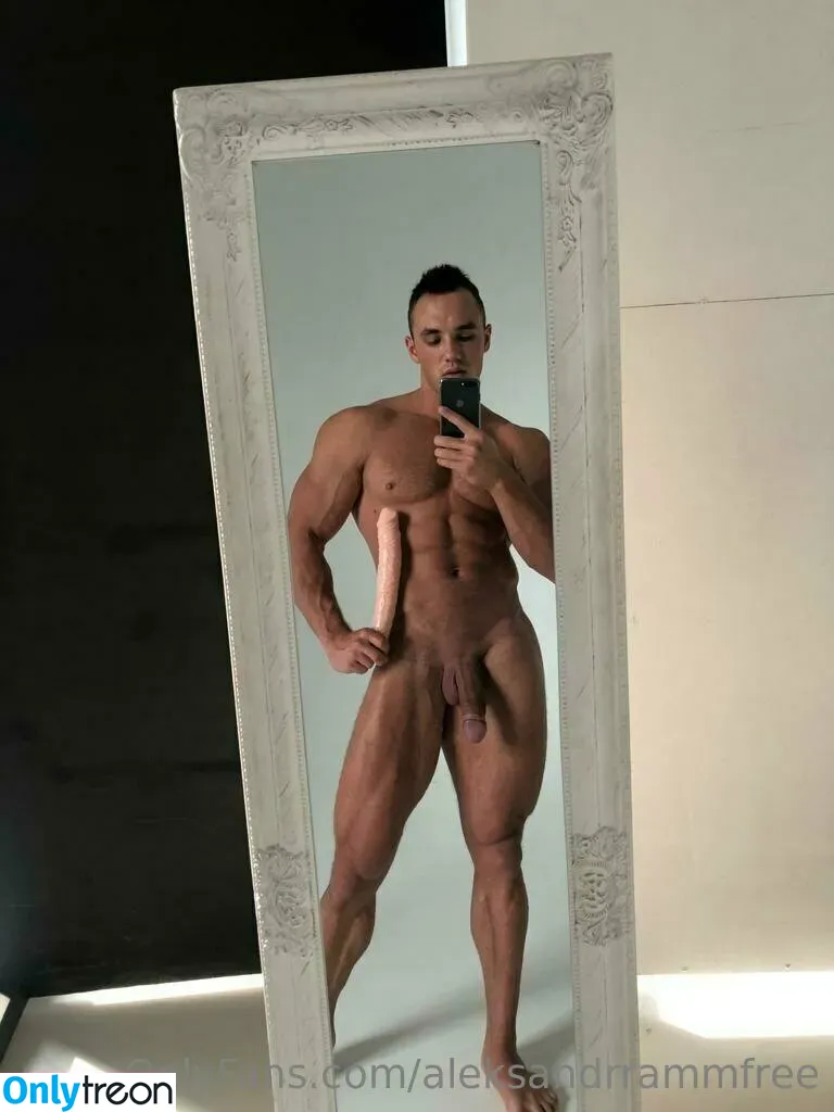 aleksandrrammfree nude photo #0022 (rammcello)