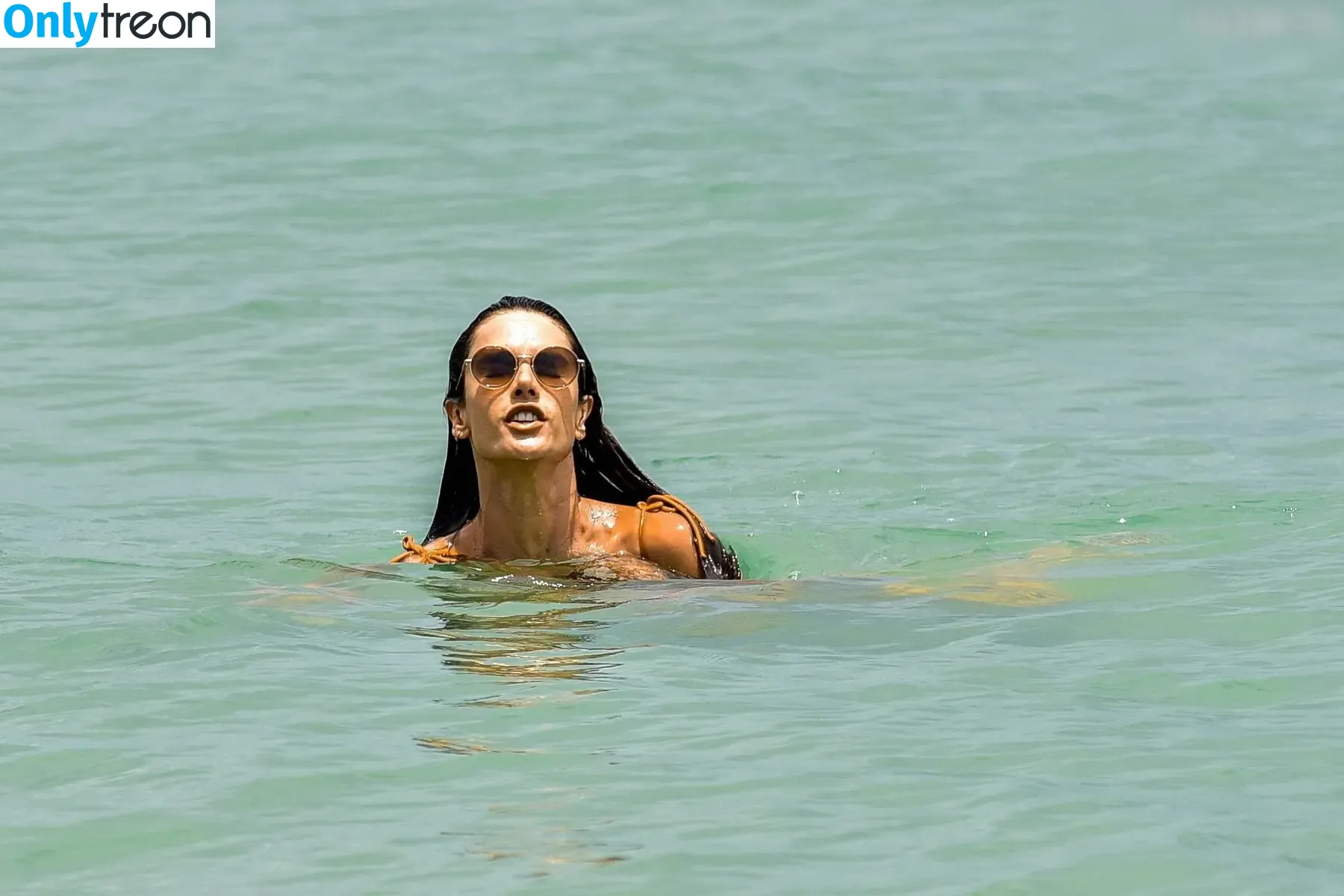 Alessandra Ambrosio nude photo #4008 (aleambrosio / alelovesanja / alessandraambrosio)