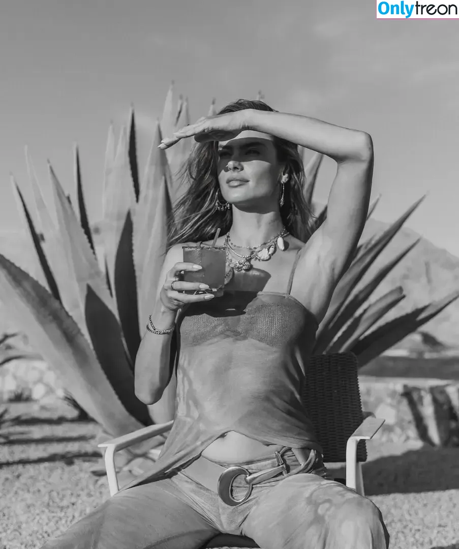 Alessandra Ambrosio nude photo #4018 (aleambrosio / alelovesanja / alessandraambrosio)