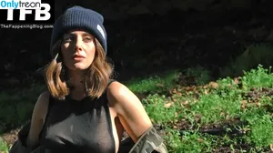 Alison Brie / alisonbrie nude photo #0345