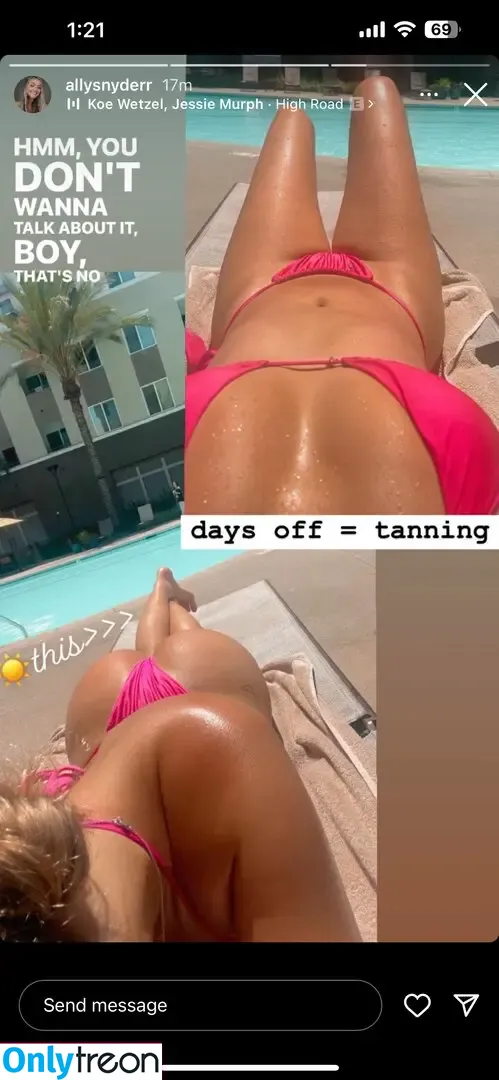 Ally Snyder nude photo #0037 (Allysnyderr)