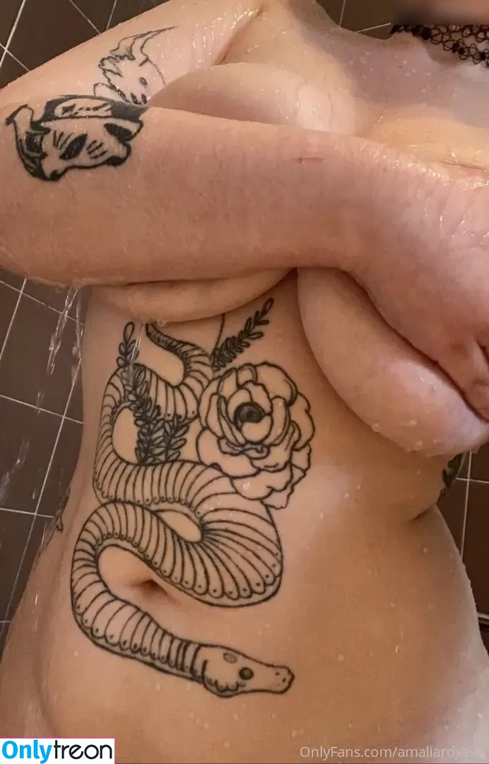 Amalia Rose nude photo #0807 (Amalia Rose)