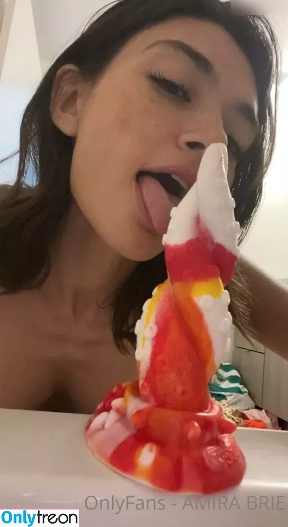Amira Brie nude photo #0148 (amirabrie / potus.amira)