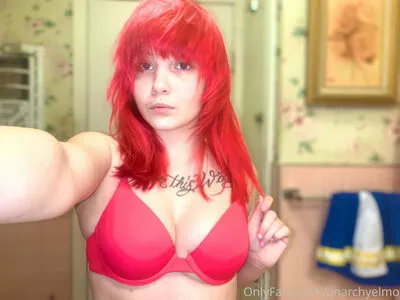 anarchyelmo / theanarchyelmo nude photo #0028