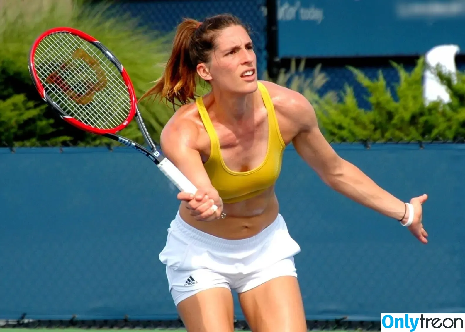 Andrea Petkovic nude photo #0027 (Andrea Petkovic)