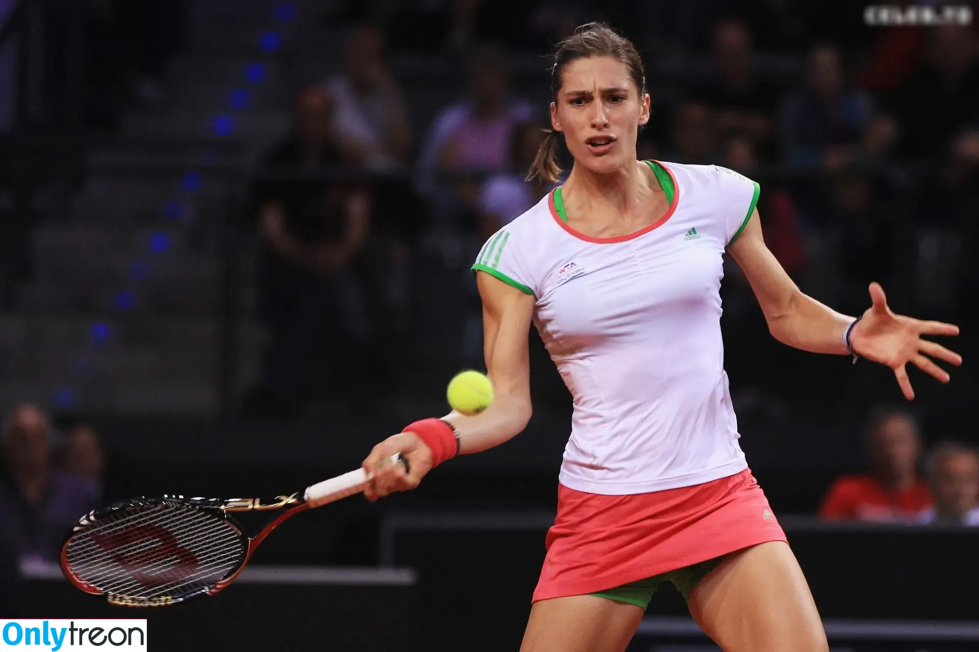 Andrea Petkovic nude photo #0056 (Andrea Petkovic)