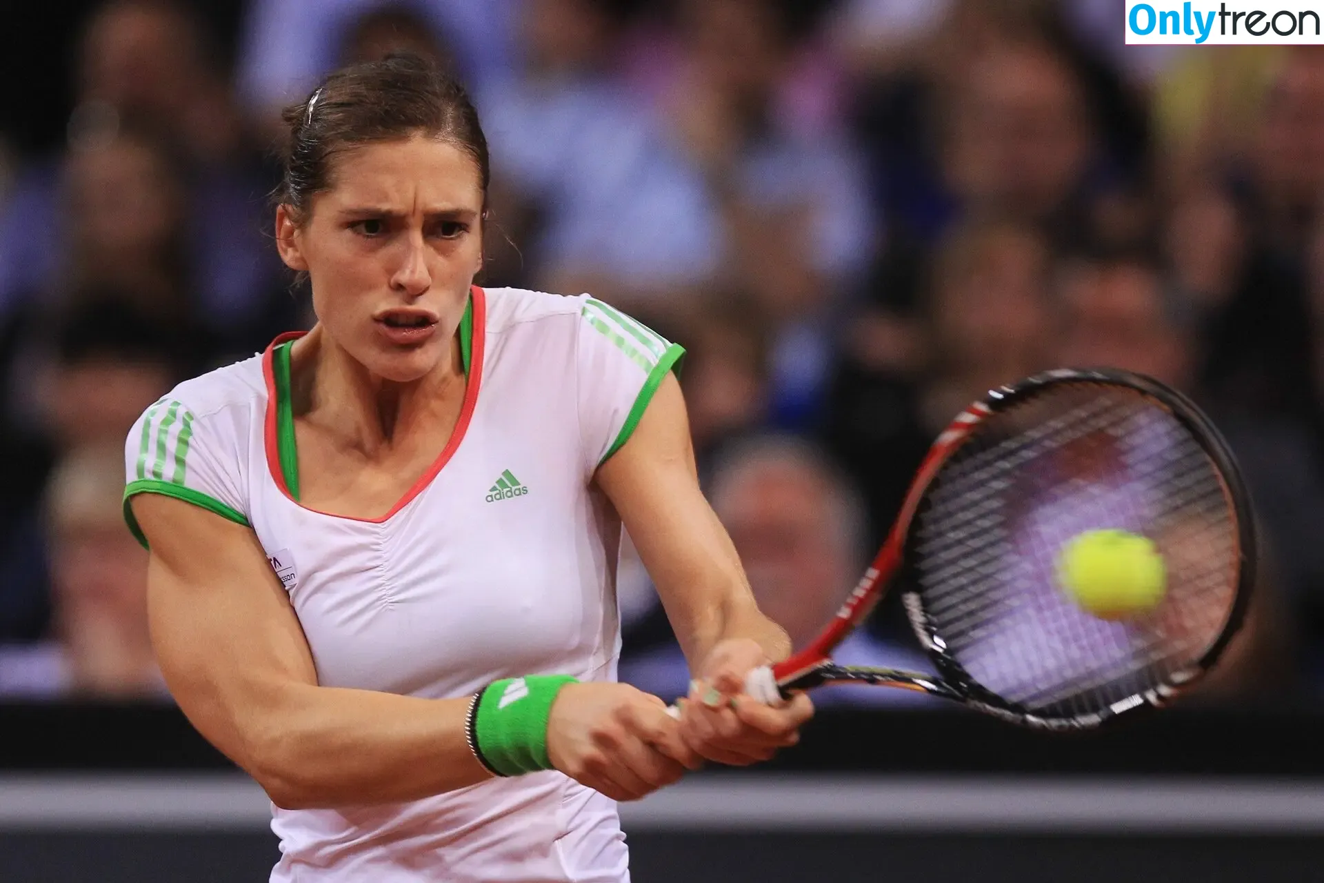 Andrea Petkovic nude photo #0057 (Andrea Petkovic)