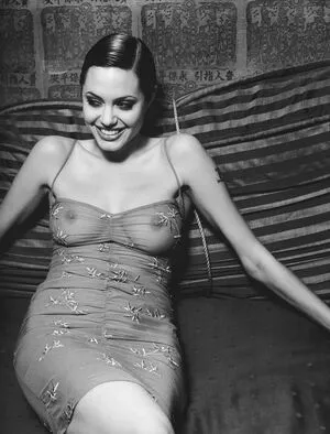 Angelina Jolie / angelinajolie nude photo #0191