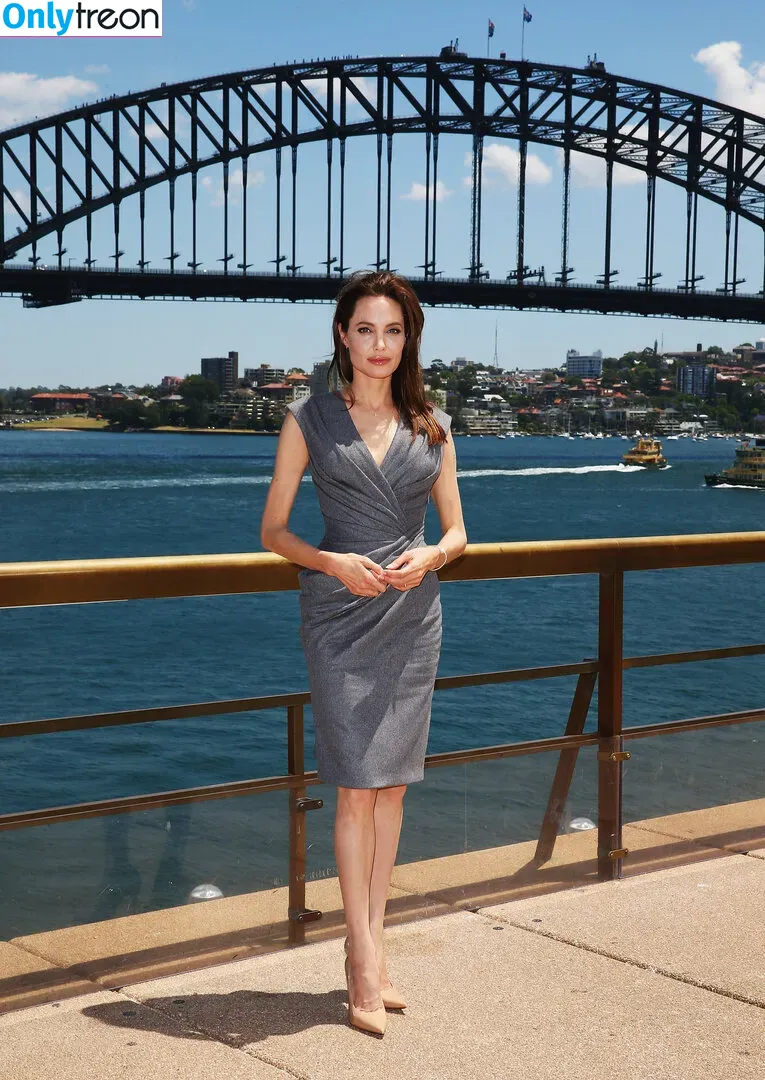 Angelina Jolie nude photo #0156 (angelinajolie)