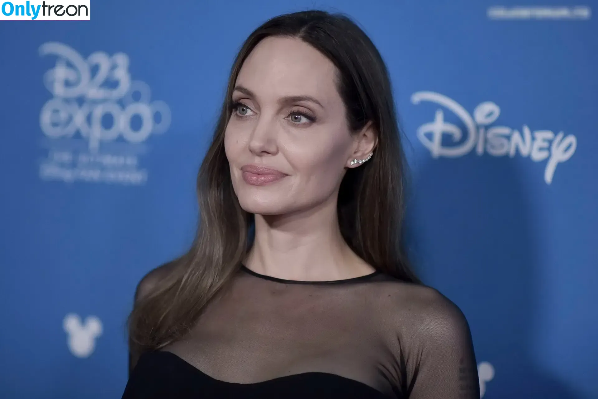 Angelina Jolie nude photo #0323 (angelinajolie)
