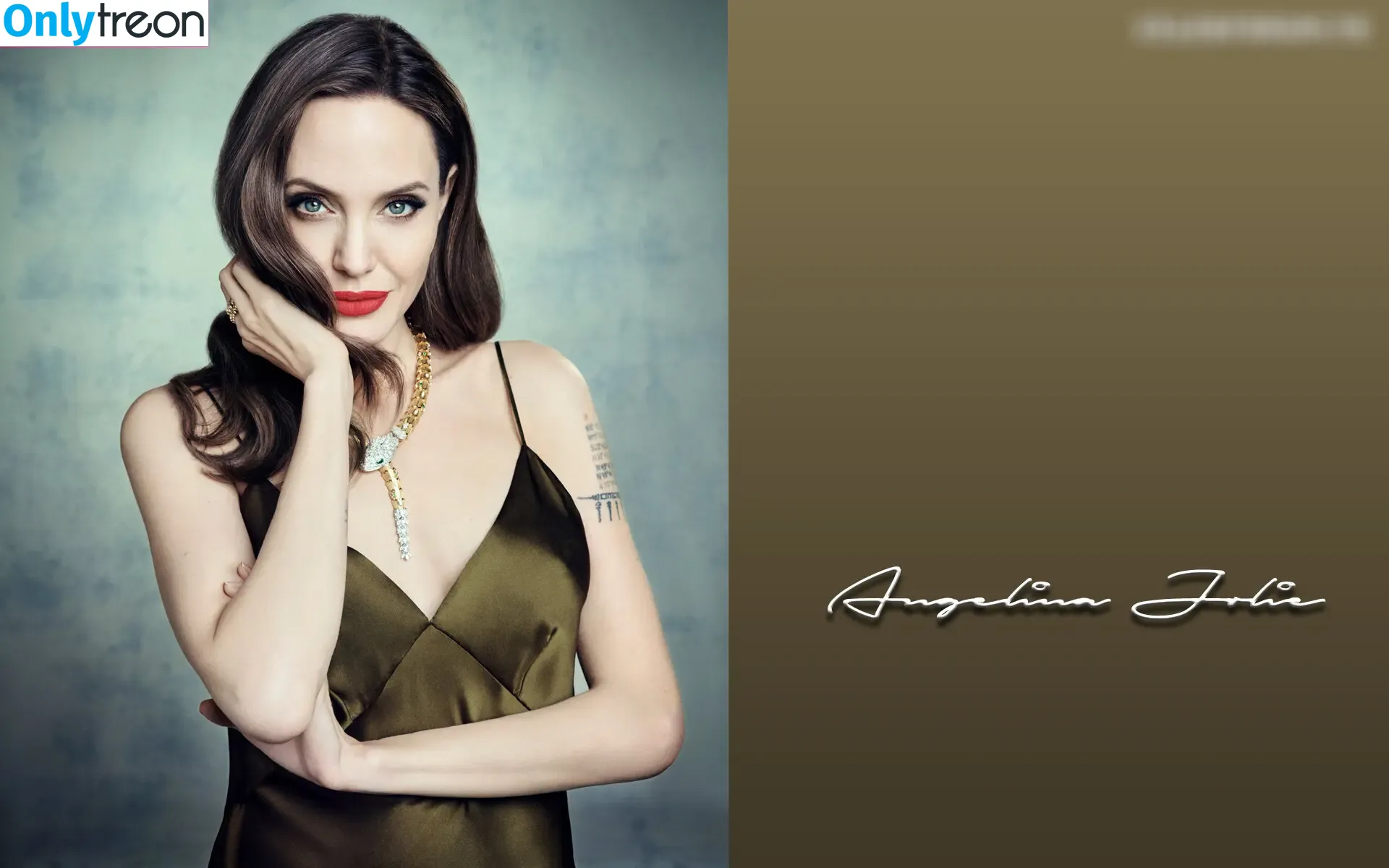 Angelina Jolie nude photo #0330 (angelinajolie)