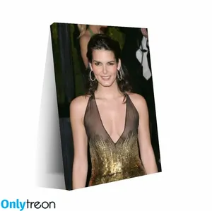 Angie Harmon / angieharmon nude photo #0195