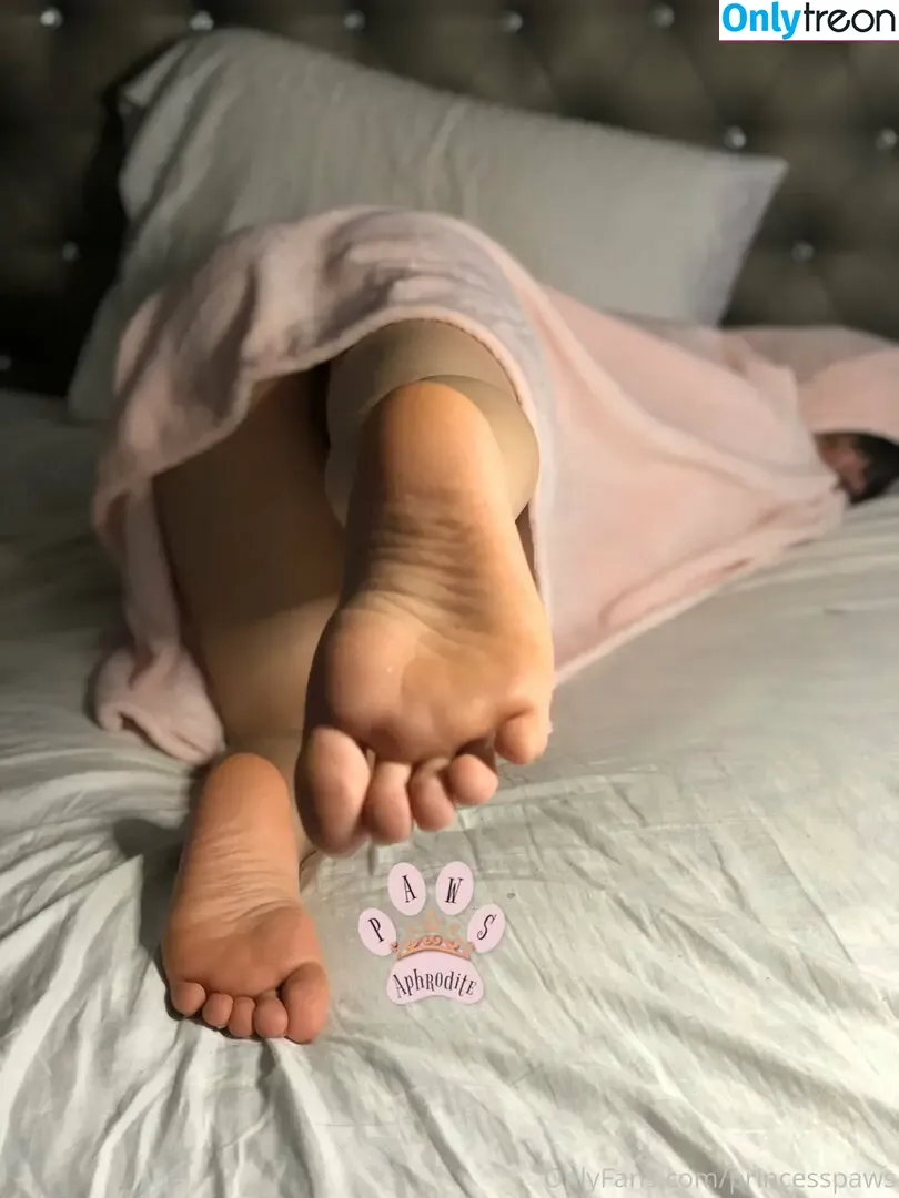 aphroditepaws nude photo #0021 (goddessaphroditepaws)