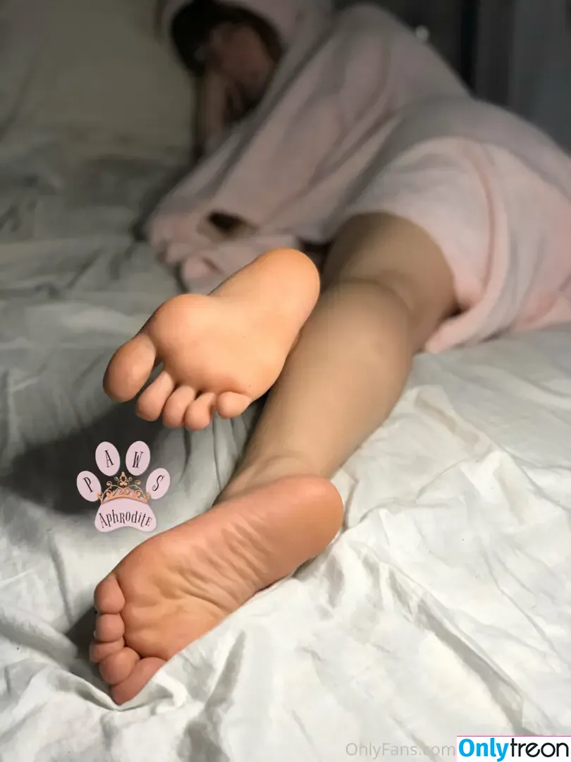 aphroditepaws nude photo #0023 (goddessaphroditepaws)