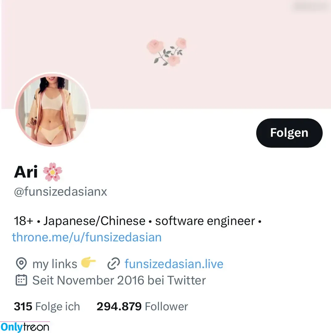 Ari - funsizedasian nude photo #0002 (funsizedasian / funsizedasianx)