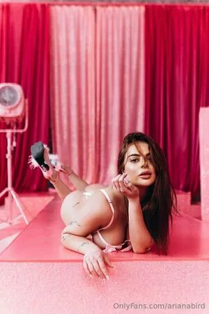 arianabird / birdmoves nude photo #0160