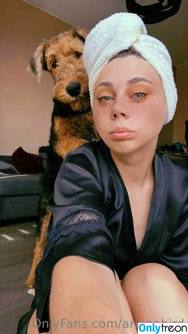 arianabird nude photo #0023 (birdmoves)