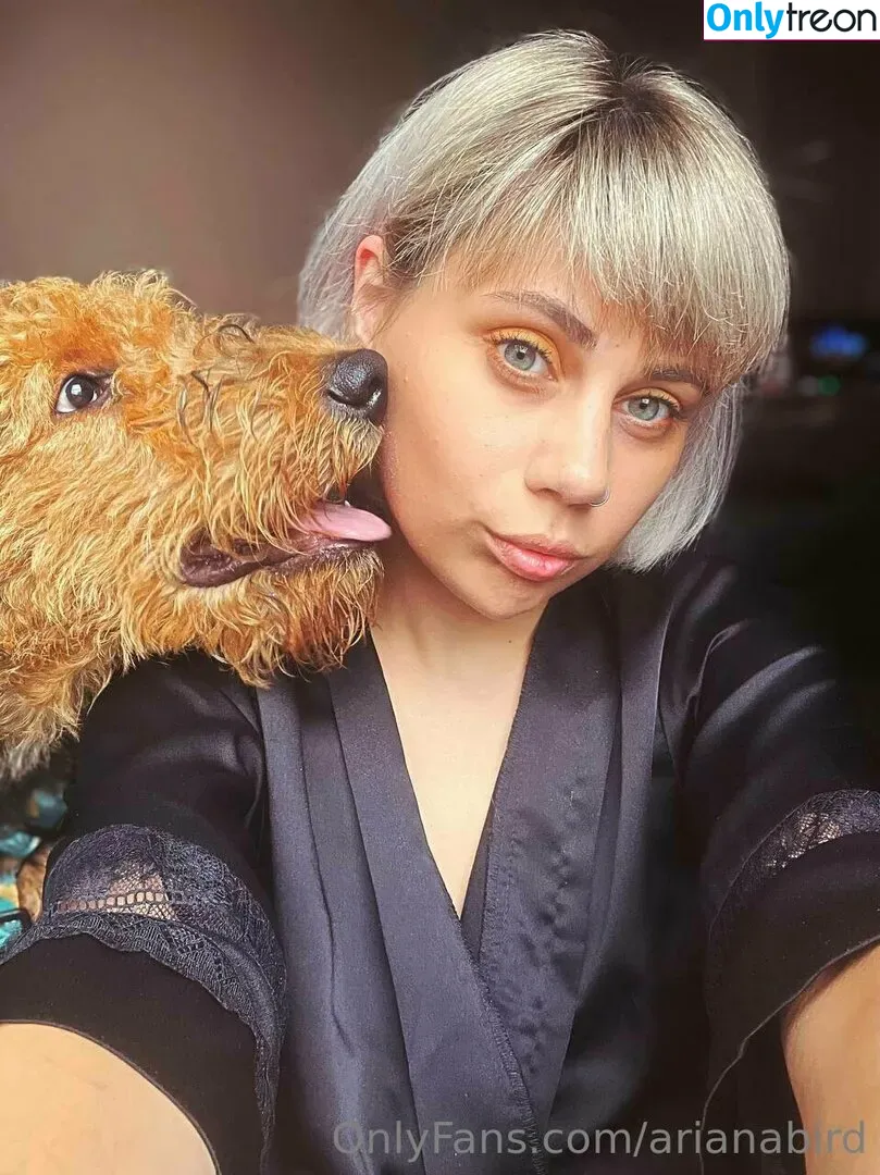 arianabird nude photo #0038 (birdmoves)