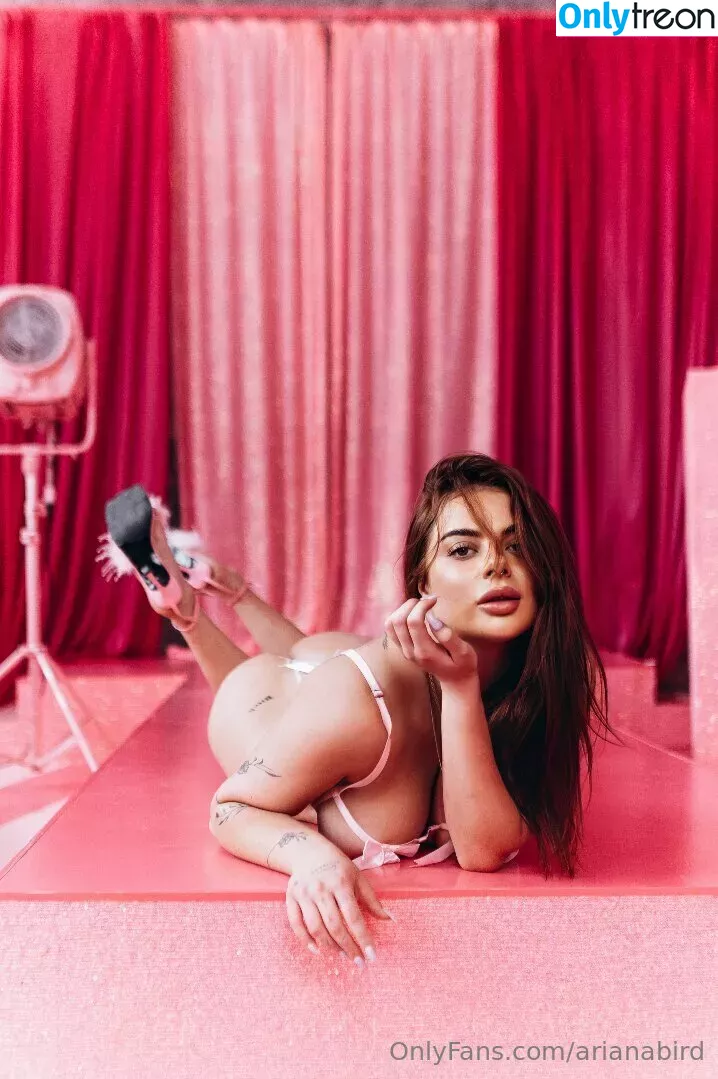 arianabird nude photo #0160 (birdmoves)