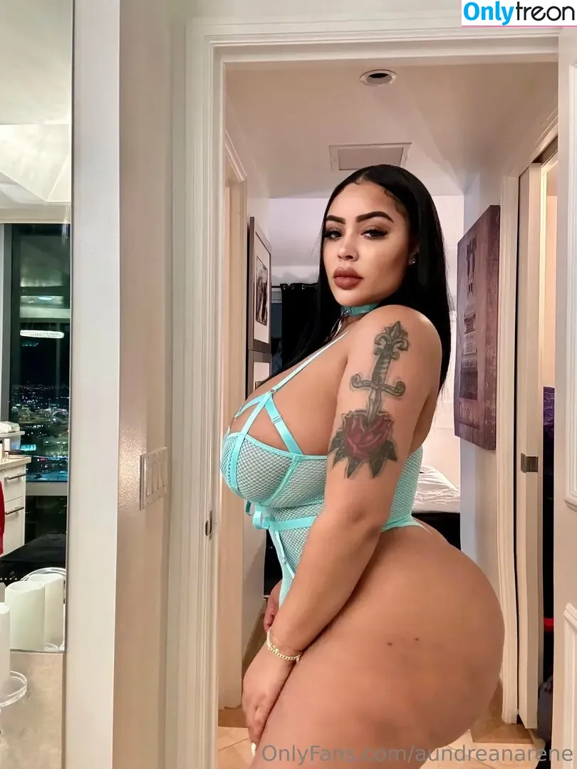 aundreanarene nude photo #0033 (aundreanarene)