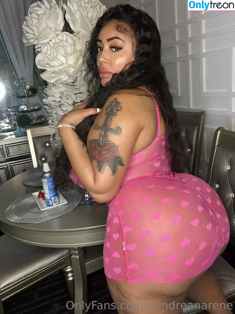 aundreanarene nude photo #0038 (aundreanarene)