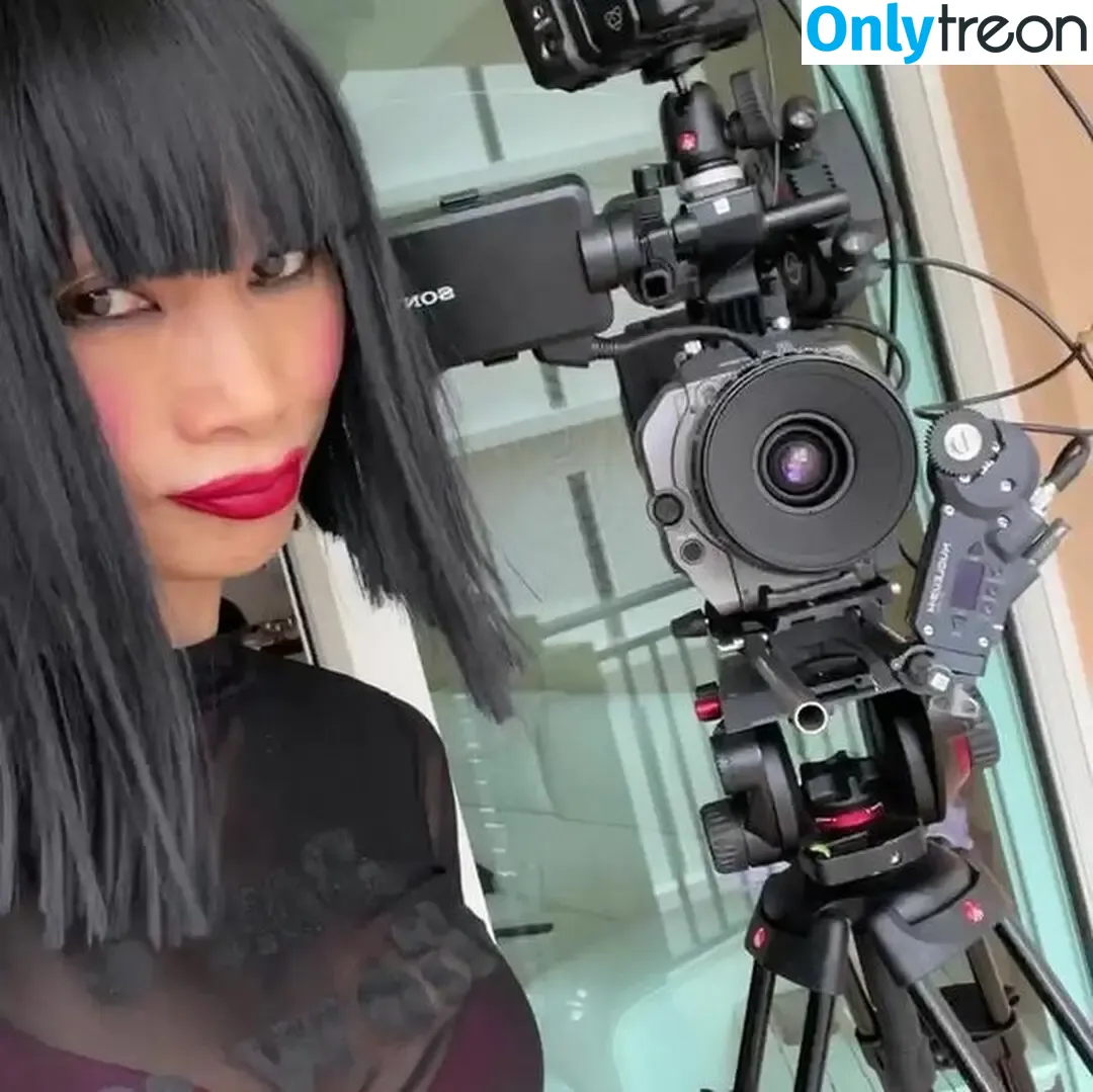Bai Ling nude photo #0392 (iambailing)