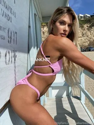 Barbie Blank / Kelly Kelly / TheBarbieBlank nude photo #0043