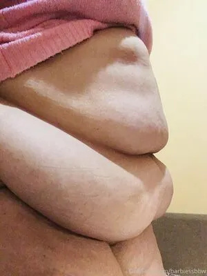 barbiessbbw / ssbbwbarbie nude photo #0063