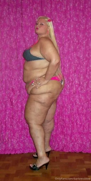 barbiessbbw / ssbbwbarbie nude photo #0067
