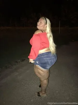 barbiessbbw / ssbbwbarbie nude photo #0176