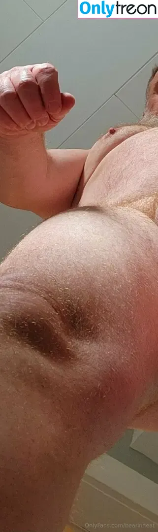 bearinheat nude photo #0301 (bearinheat)