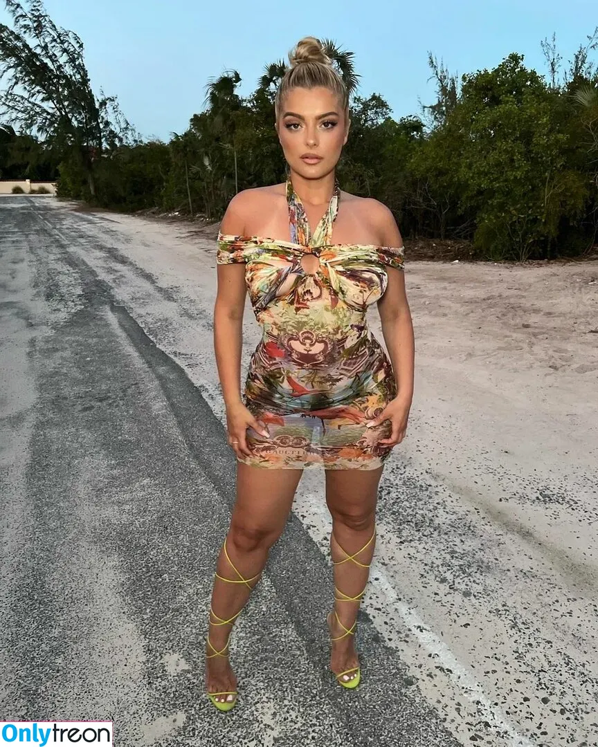 Bebe Rexha nude photo #0101 (beberexha / skylinevexx)
