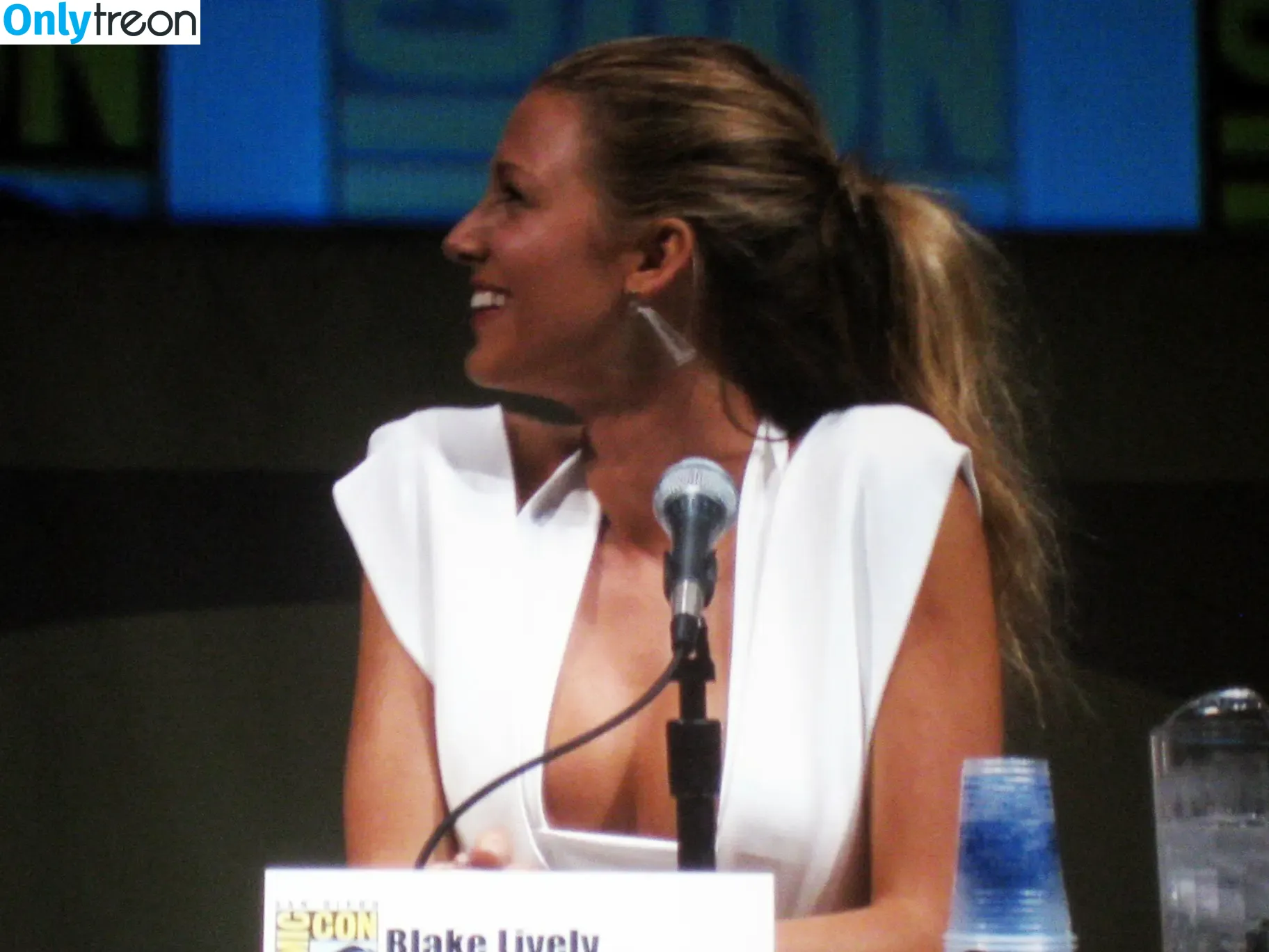 Blake Lively nude photo #0553 (blakelively)