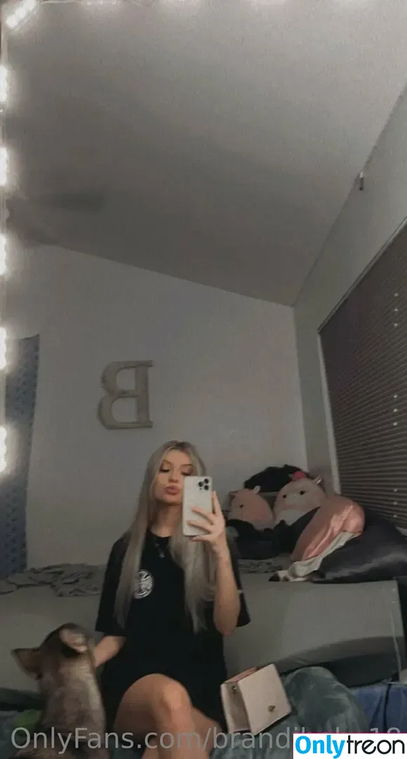 brandibaby18 nude photo #0037 (brandibaby.18)
