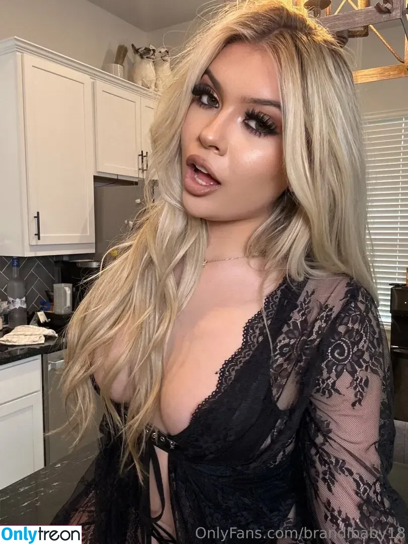 brandibaby18 nude photo #0104 (brandibaby.18)