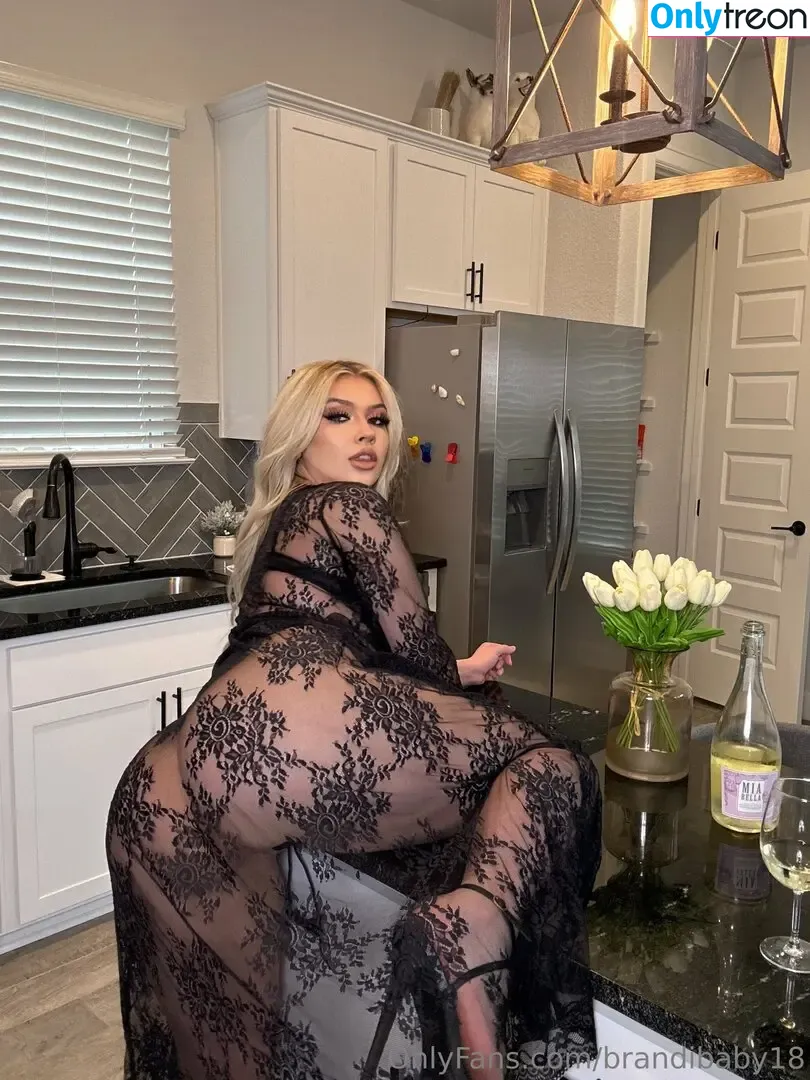 brandibaby18 nude photo #0110 (brandibaby.18)