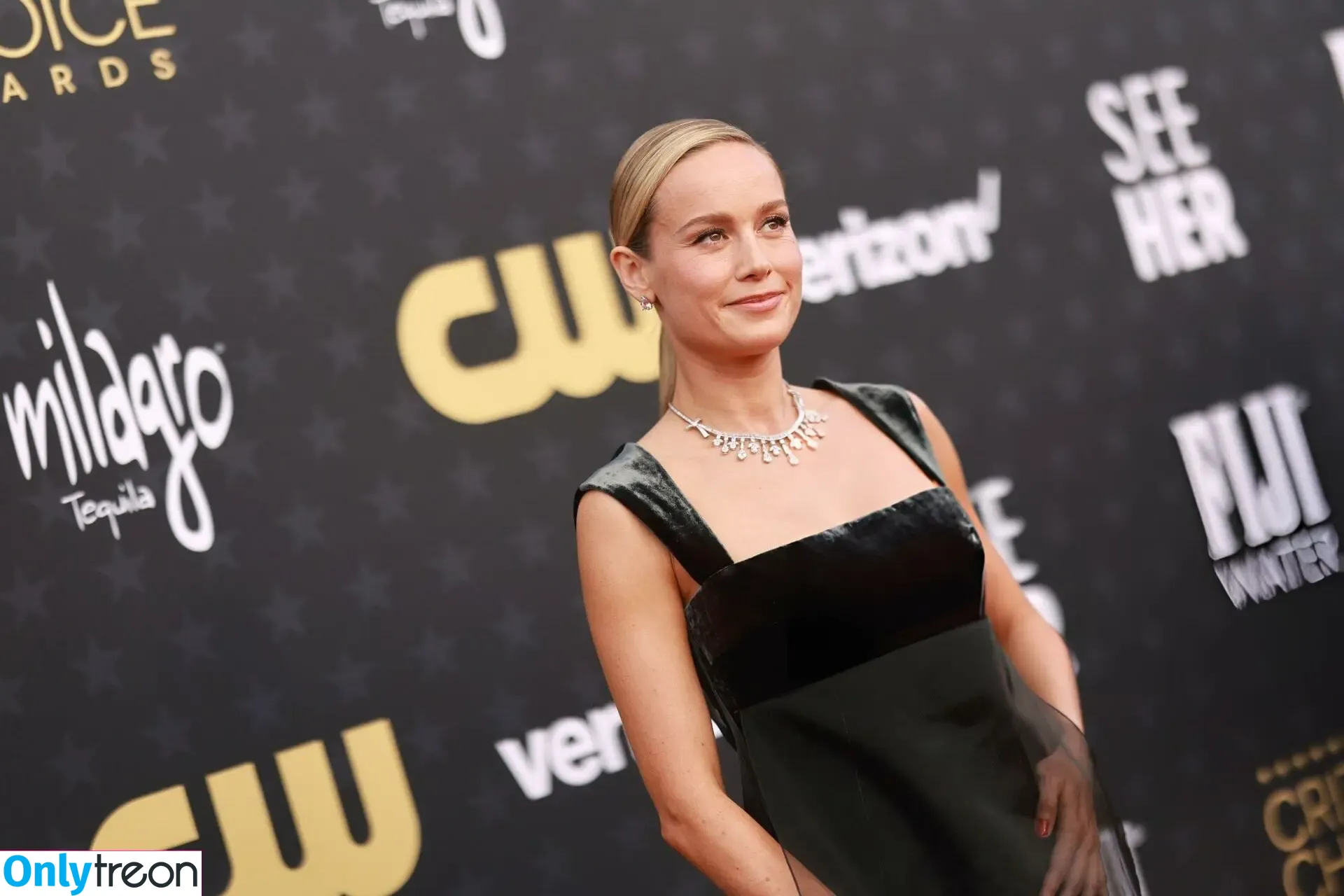 Brie Larson nude photo #0563 (brielarson)