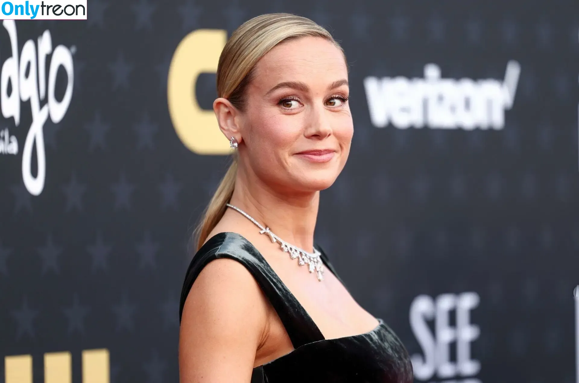 Brie Larson nude photo #0575 (brielarson)
