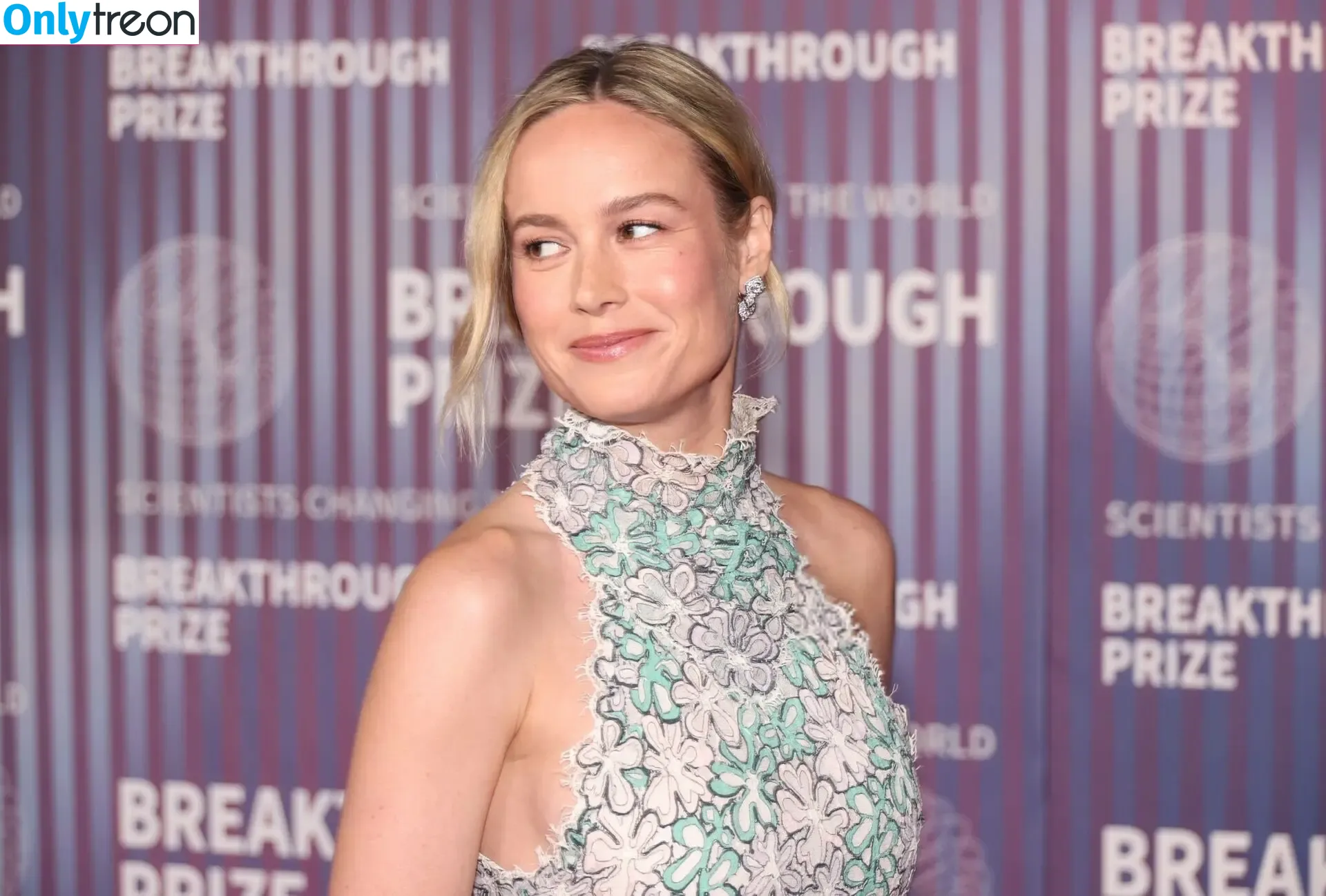Brie Larson nude photo #0947 (brielarson)