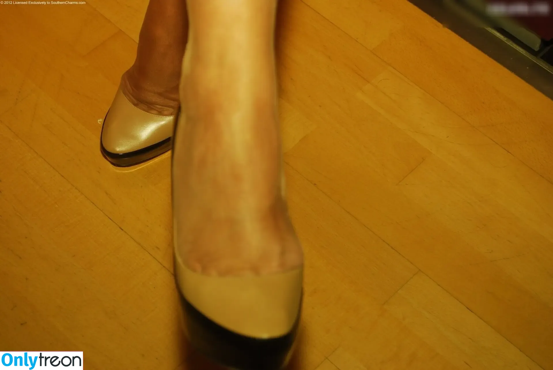 Brilliant Paula nude photo #7331 (Brilliant Paula)