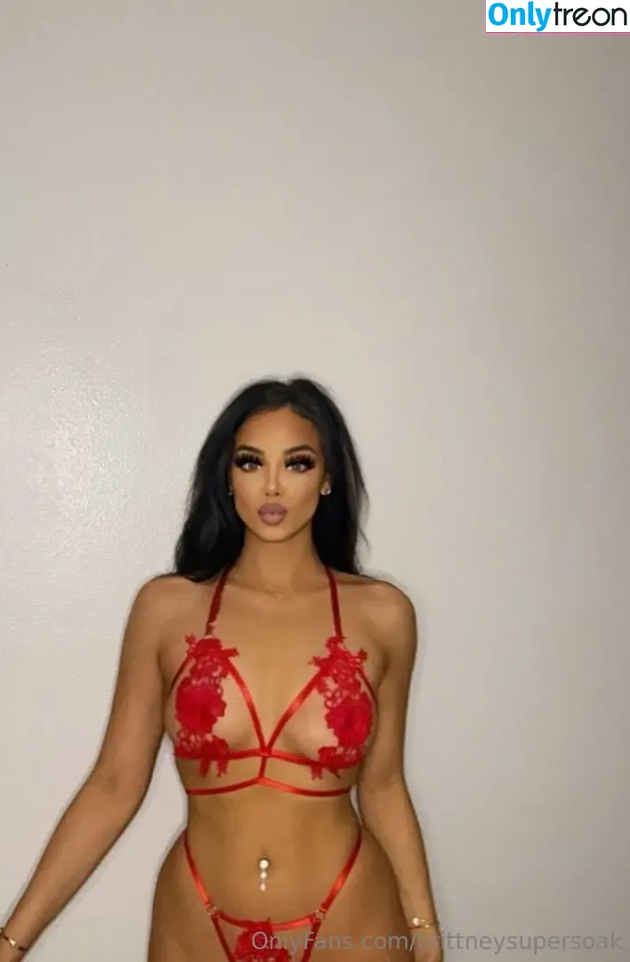 brittneysupersoak nude photo #0076 (thesaucyrossy)