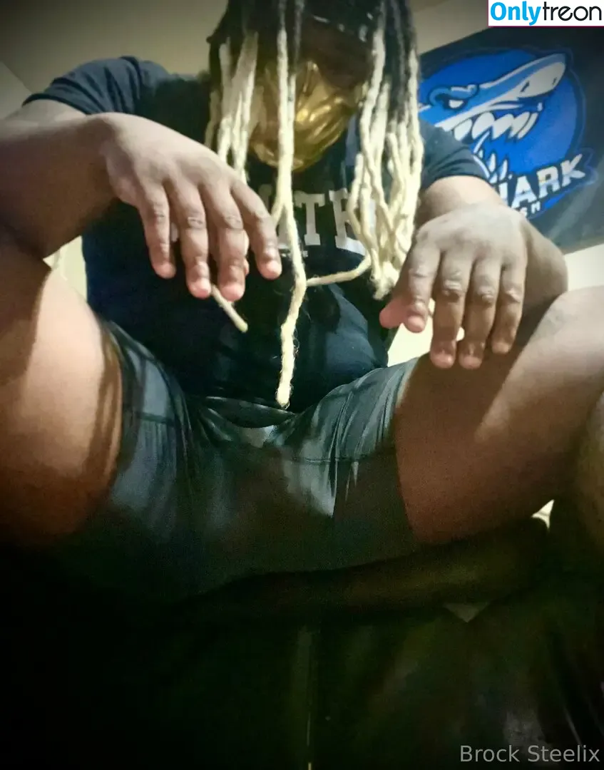 brocksteelix nude photo #0109 (brocksteelix)
