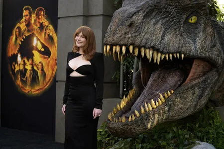 Bryce Dallas Howard / brycedhoward nude photo #0126