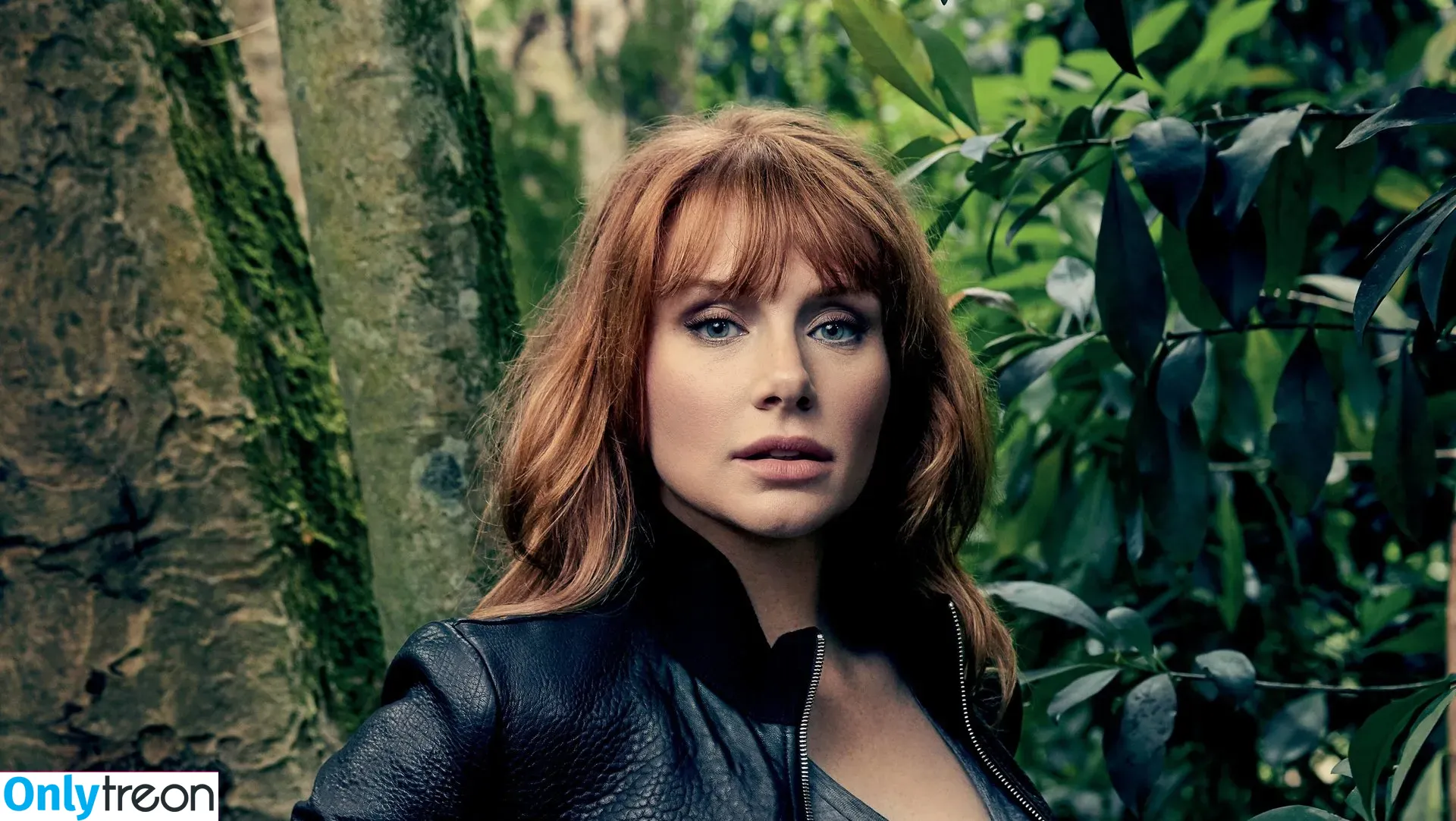Bryce Dallas Howard nude photo #0080 (brycedhoward)