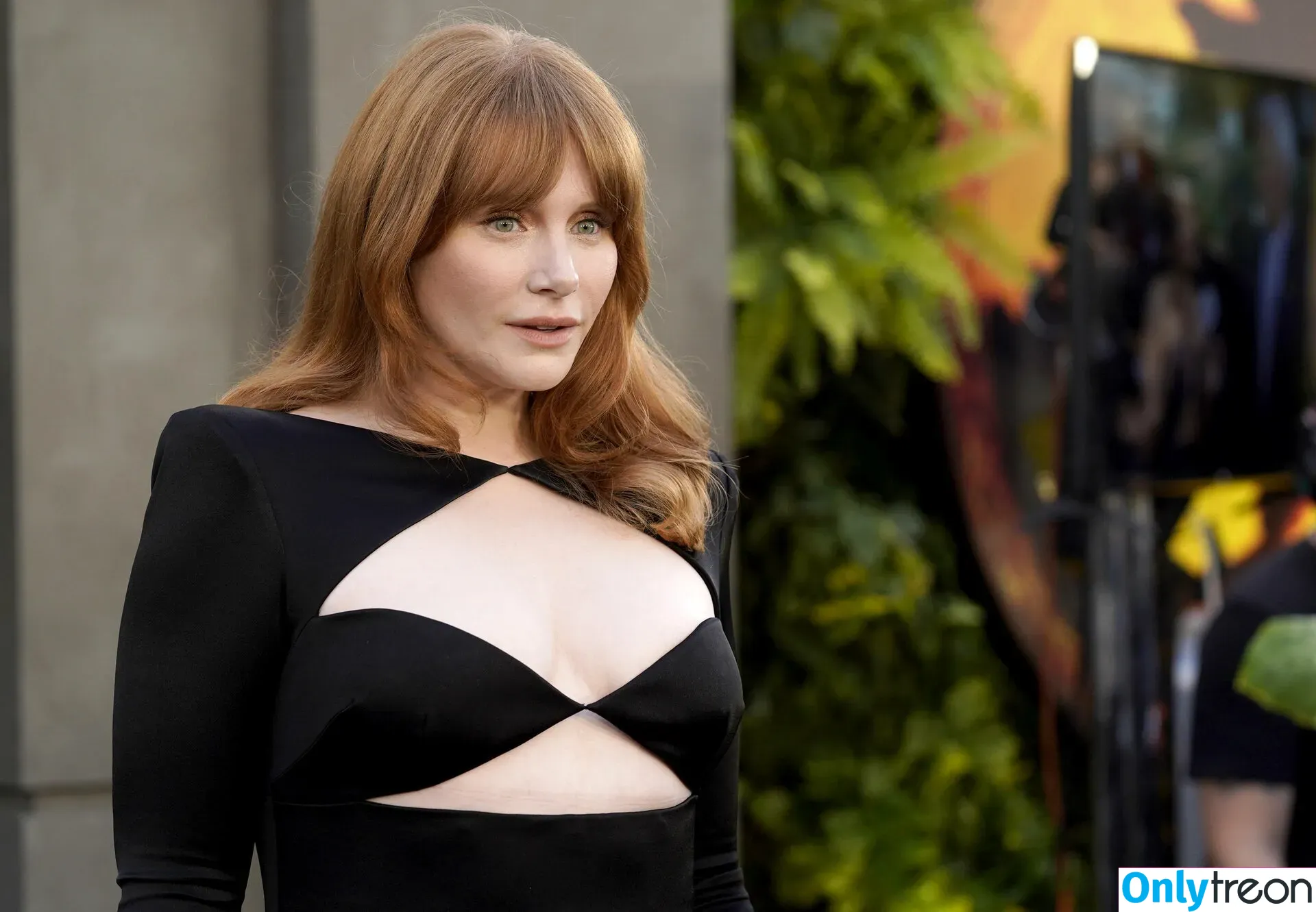 Bryce Dallas Howard nude photo #0125 (brycedhoward)