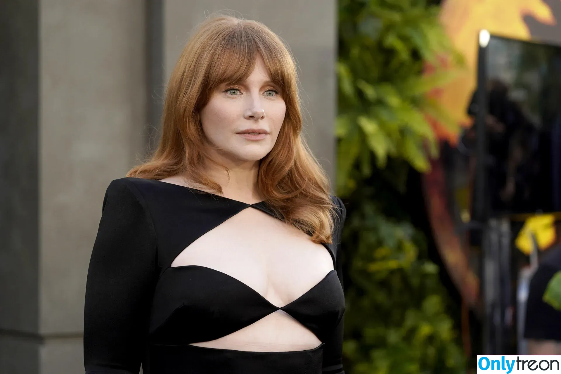 Bryce Dallas Howard nude photo #0127 (brycedhoward)