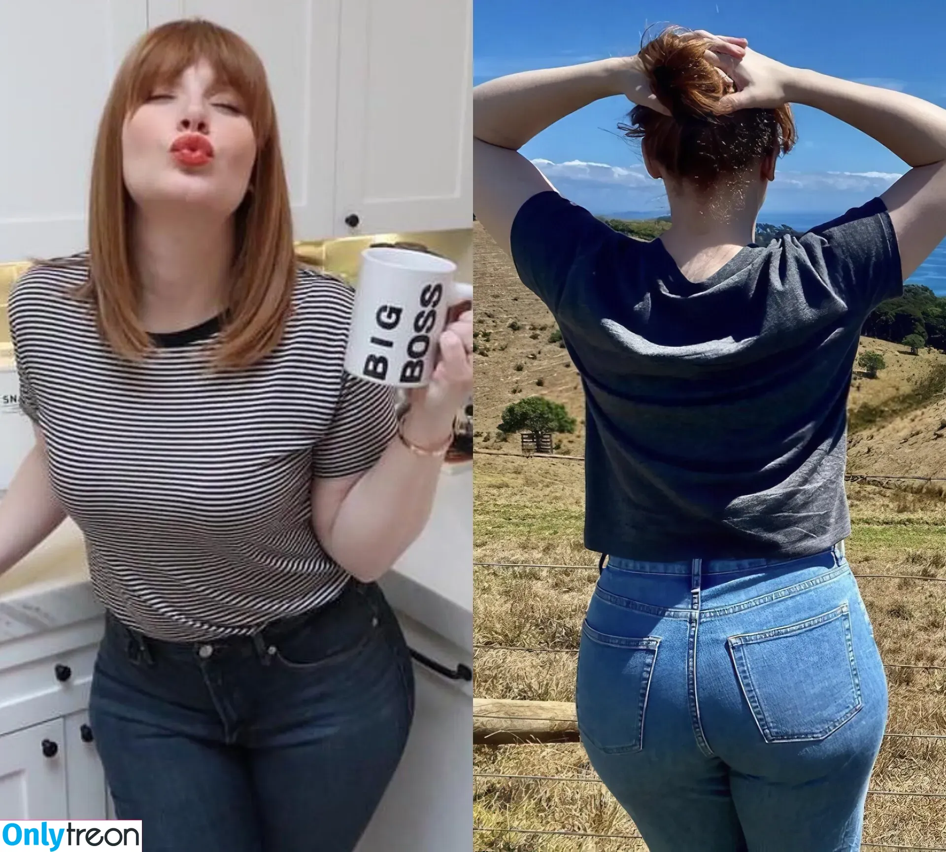 Bryce Dallas Howard nude photo #0351 (brycedhoward)