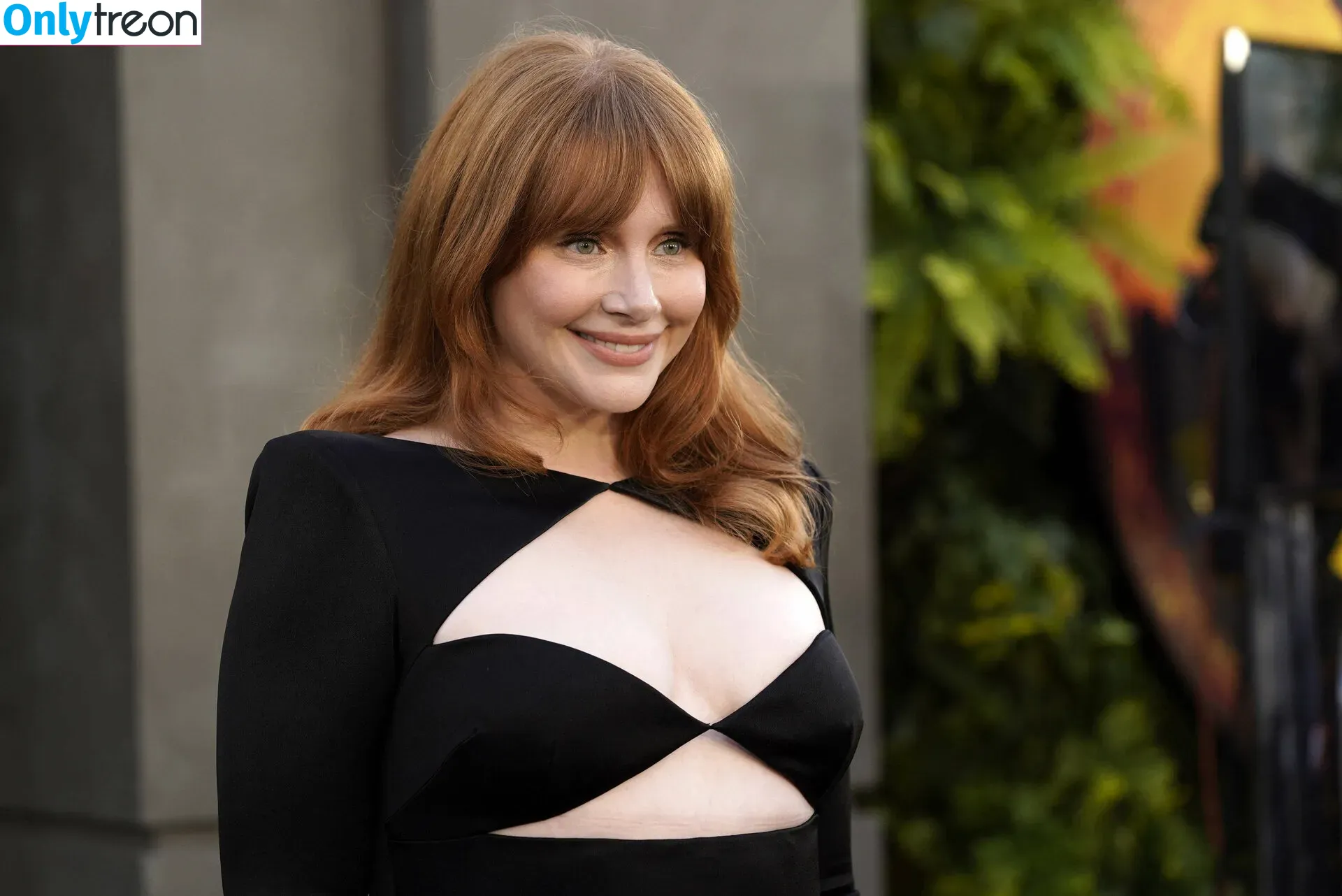 Bryce Dallas Howard nude photo #0385 (brycedhoward)