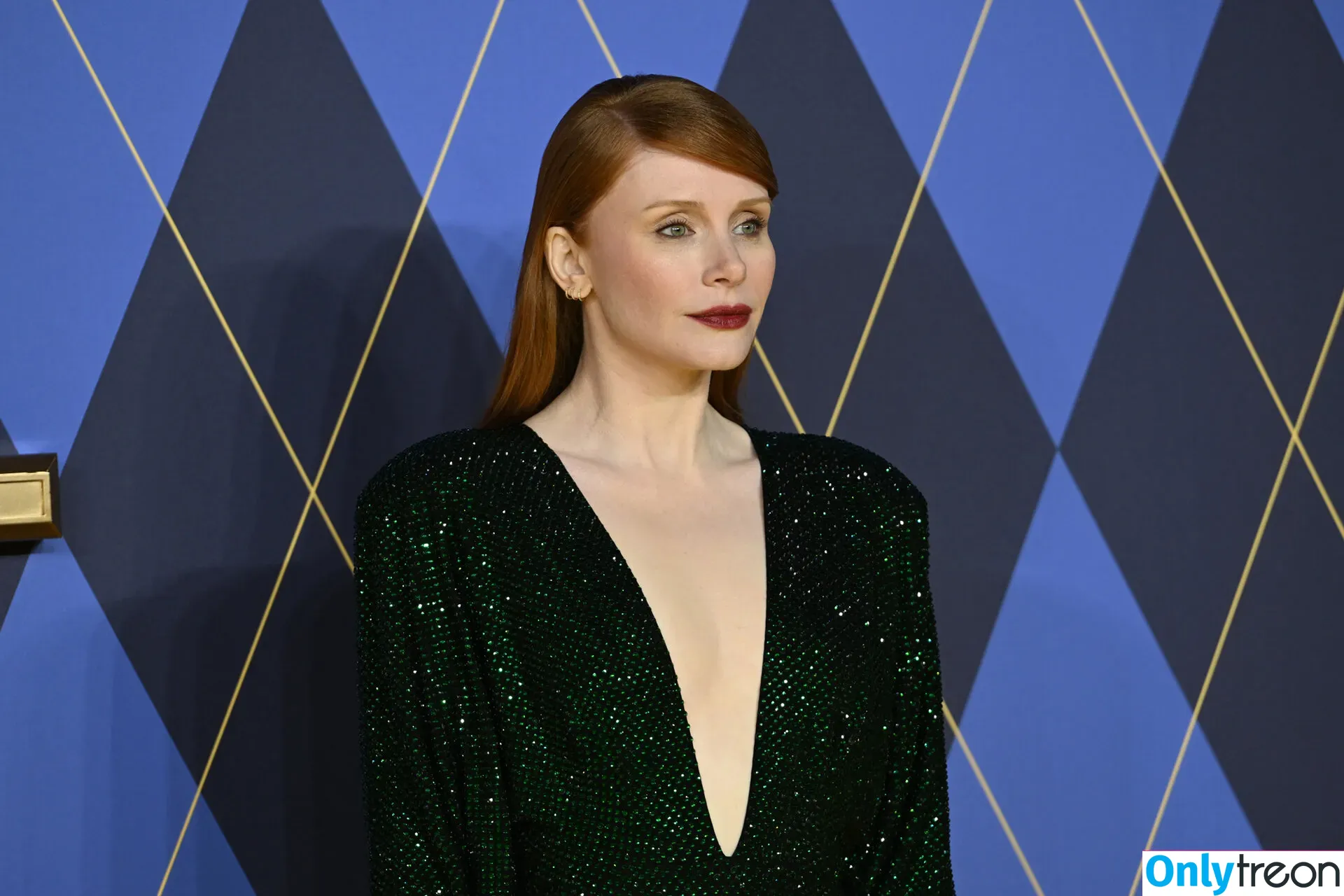 Bryce Dallas Howard nude photo #0463 (brycedhoward)