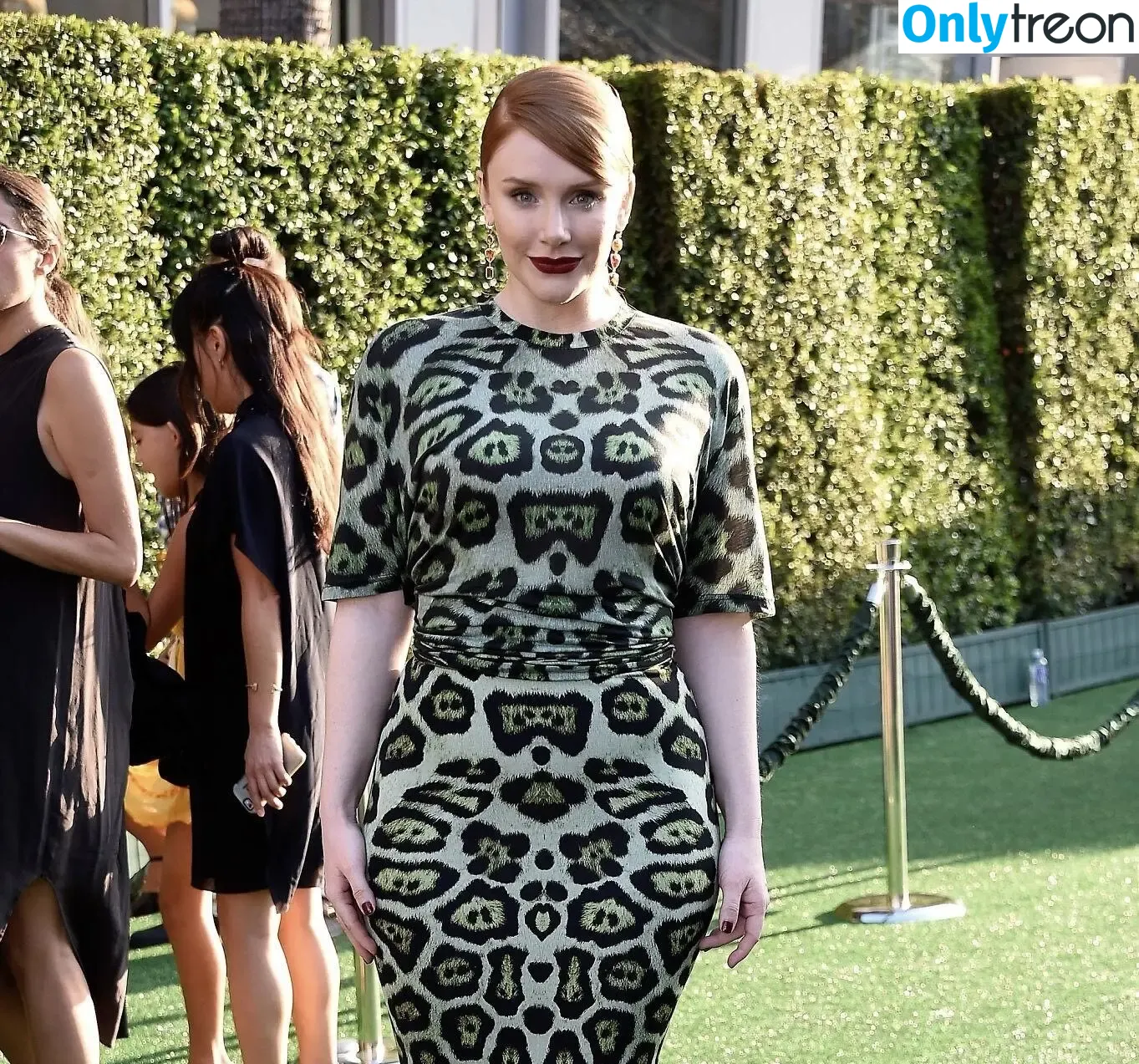 Bryce Dallas Howard nude photo #0772 (brycedhoward)